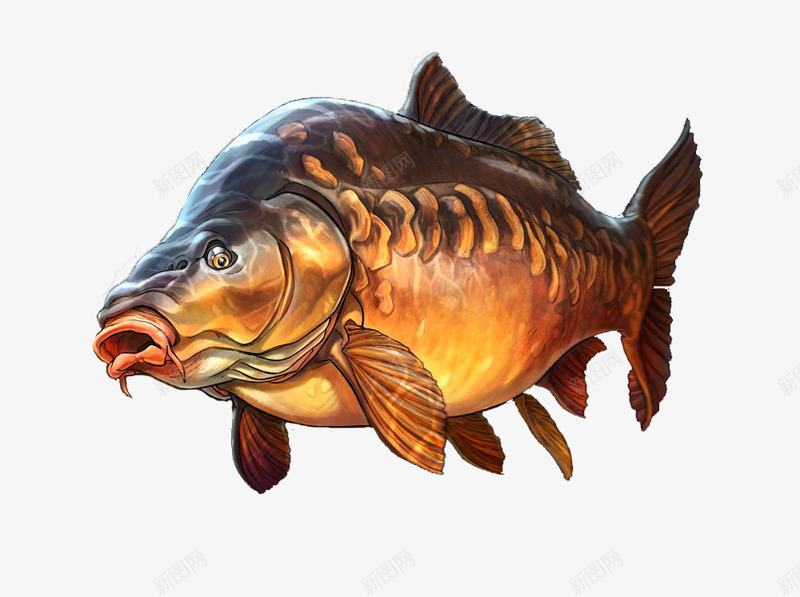深海里的怪鱼插画png免抠素材_新图网 https://ixintu.com 怪物 怪鱼 插图 插画 海怪 海洋生物 深海里 漫画