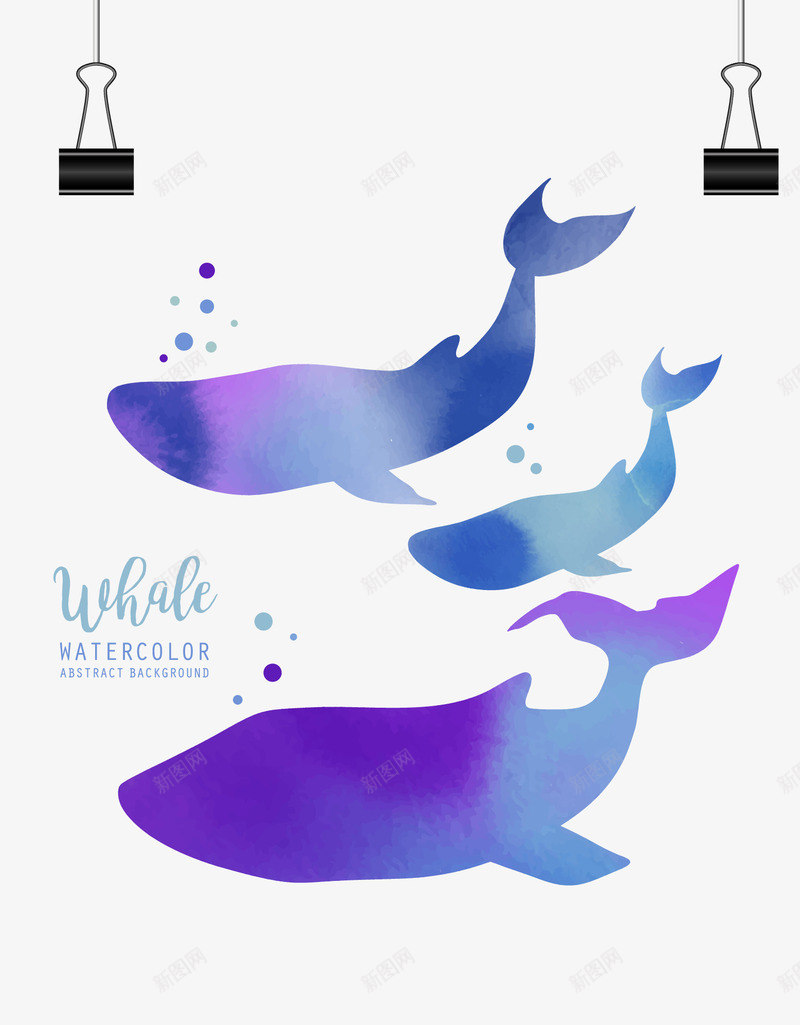 蓝紫色水彩鲸鱼矢量图eps免抠素材_新图网 https://ixintu.com 水彩 海洋生物 矢量素材 蓝紫色 鲸鱼 矢量图