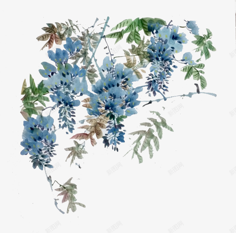 手绘墨画紫藤花png免抠素材_新图网 https://ixintu.com 手绘紫藤花 手绘色彩 水墨画 水蓝花朵 紫藤花 绿叶 藤萝