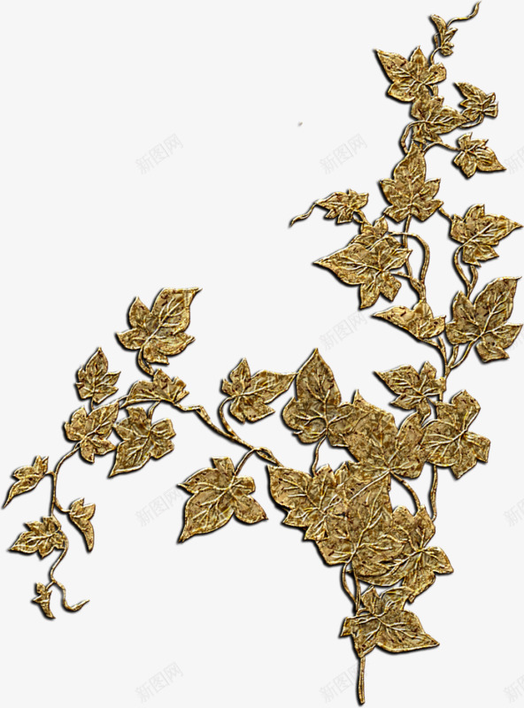 手绘立体金色印花png免抠素材_新图网 https://ixintu.com 叶子 树叶 立体 藤蔓 金色