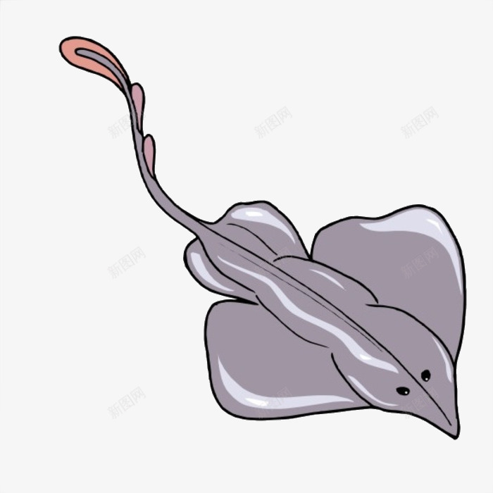 生物世界png免抠素材_新图网 https://ixintu.com 动物 毯魟 海洋动物 蝠鲼 设计 魔鬼鱼 鱼类 鳐鱼