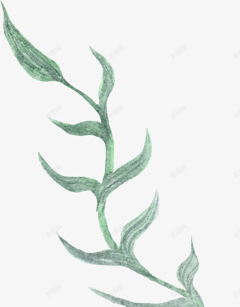 藤蔓叶png免抠素材_新图网 https://ixintu.com 叶子 植物 水彩墨 藤蔓