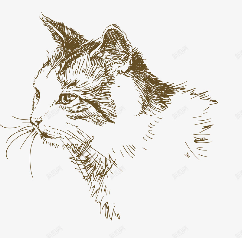 绘画矢量图eps免抠素材_新图网 https://ixintu.com 猫头 素描 绘画 逼真 矢量图