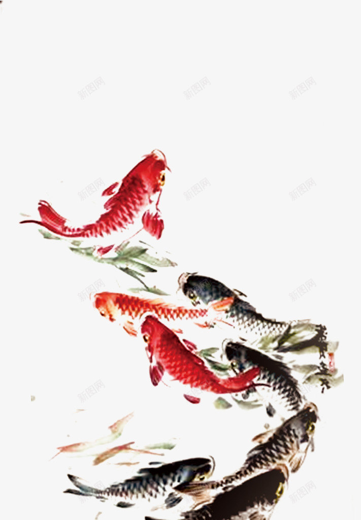 中国画红色鲤鱼中秋png免抠素材_新图网 https://ixintu.com 中国画 中秋 素材 红色 鲤鱼
