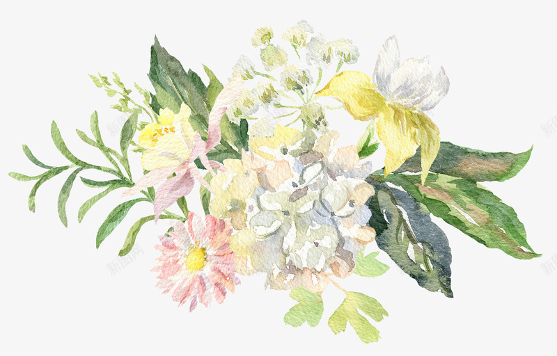 水彩植物花卉花草装饰png免抠素材_新图网 https://ixintu.com 包装设计 小清新包装 布料印花 植物花卉 花朵 花朵装饰 花草设计 贺卡设计