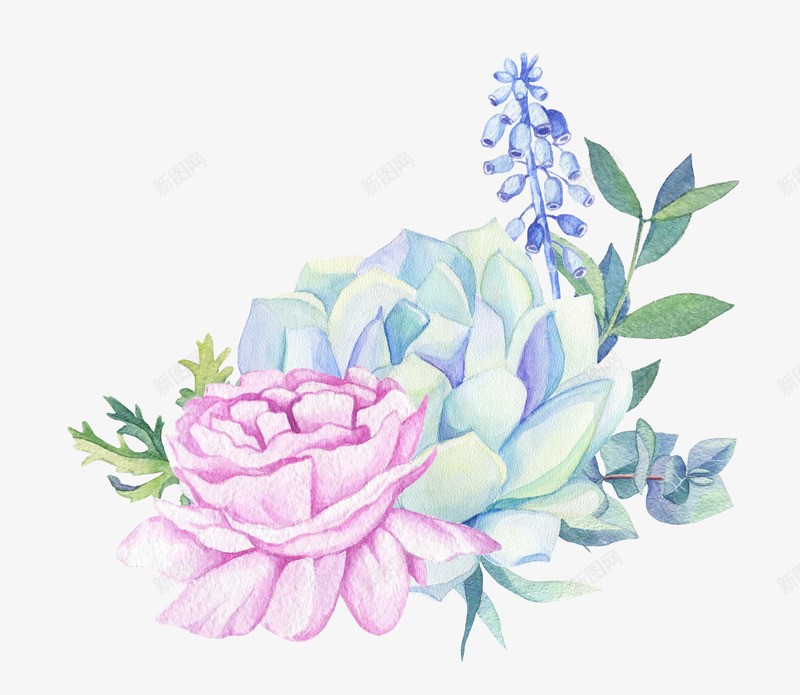 手绘多肉植物花卉png免抠素材_新图网 https://ixintu.com 手绘多肉 手绘植物花卉 手绘花朵 插画 绘画 装饰图案