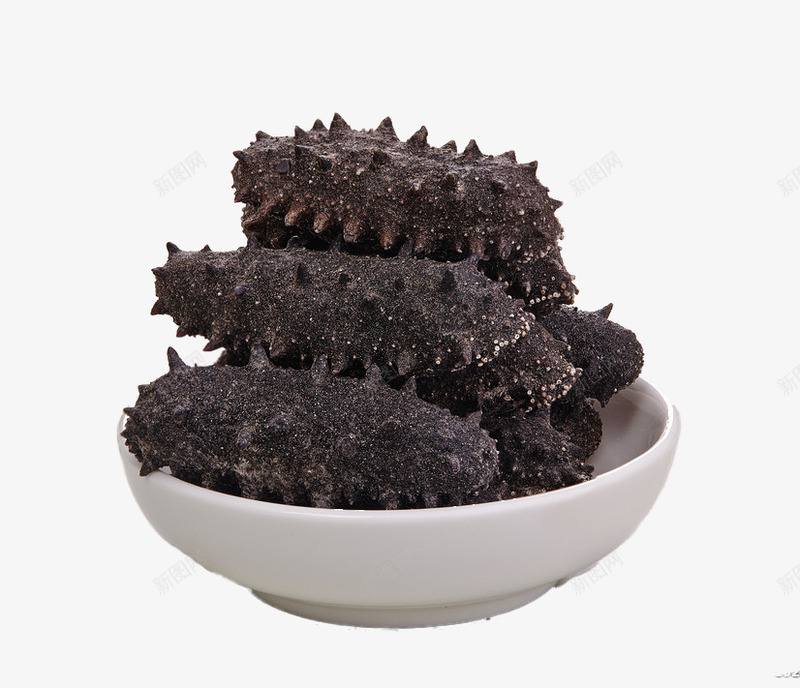 养生滋补食材png免抠素材_新图网 https://ixintu.com 海报设计 海洋 饮食 高蛋白