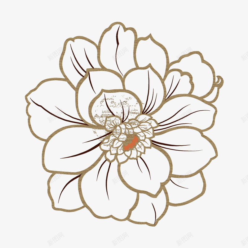 白色的小花png免抠素材_新图网 https://ixintu.com 绿色 花卉 花朵 花藤 藤蔓
