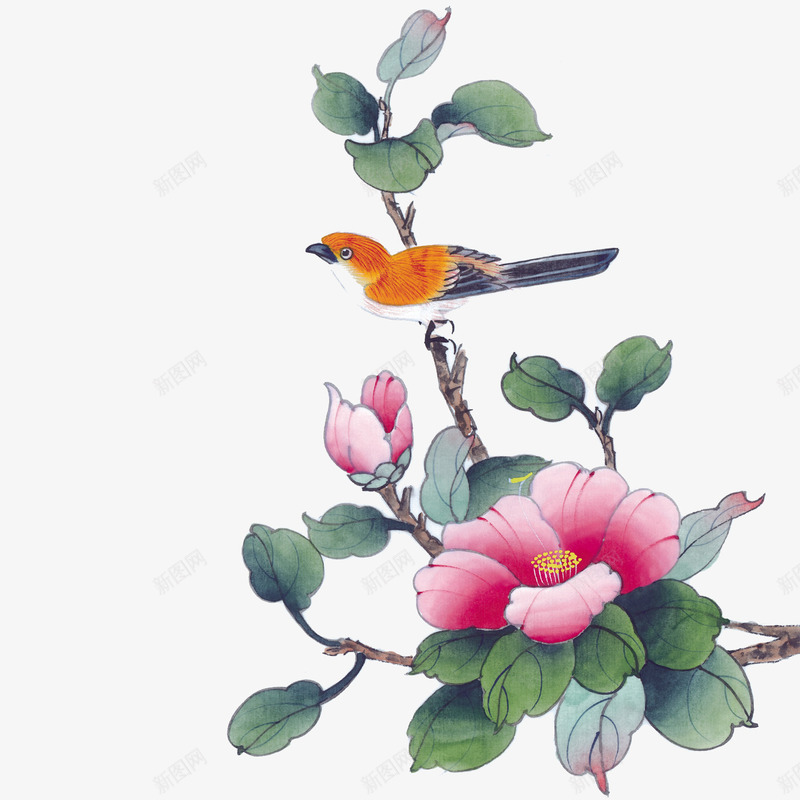花鸟图png免抠素材_新图网 https://ixintu.com 中国风 小鸟 粉色 花朵 花鸟图