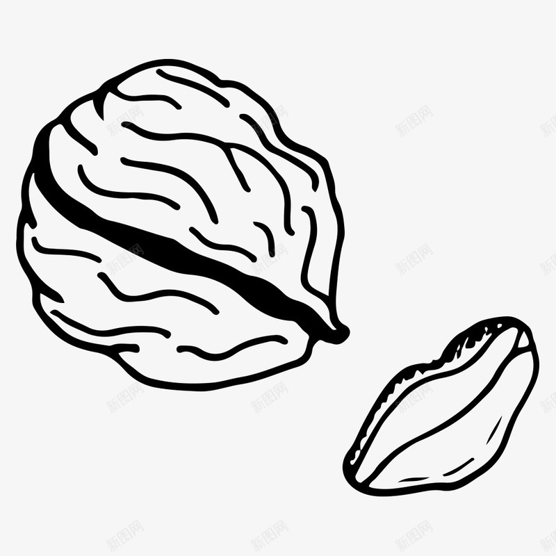 手绘核桃png免抠素材_新图网 https://ixintu.com 坚果 手绘画 核桃 矢量装饰 装饰