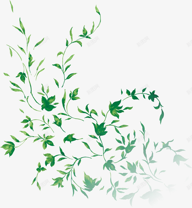 彩绘绿叶藤蔓藤子装饰png免抠素材_新图网 https://ixintu.com 彩绘 绿叶 藤子 藤蔓 装饰