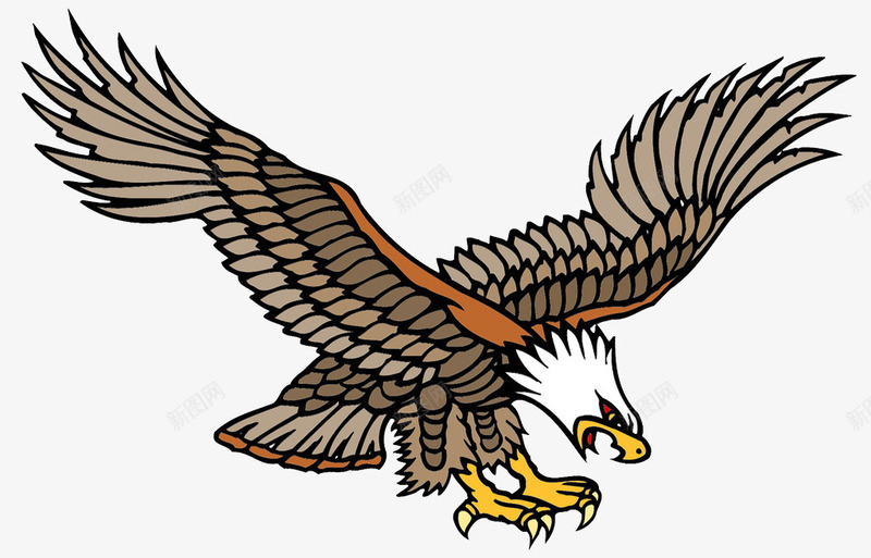 飞翔的海雕电脑绘画png免抠素材_新图网 https://ixintu.com 动物 海雕 电脑 白头 白尾海雕 绘画图 飞翔 鸟 鹰类