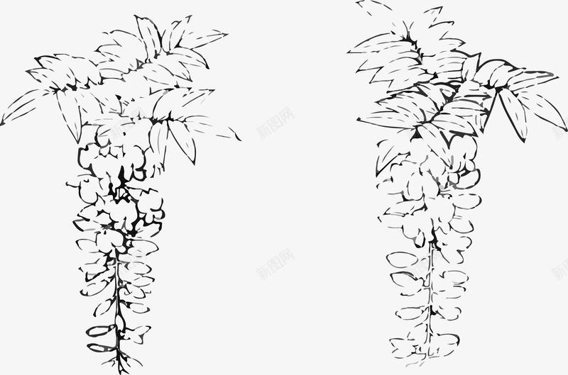 花纹紫藤png免抠素材_新图网 https://ixintu.com 手绘紫藤 树叶 植物 白描 紫藤 花朵 花纹 花边 黑色
