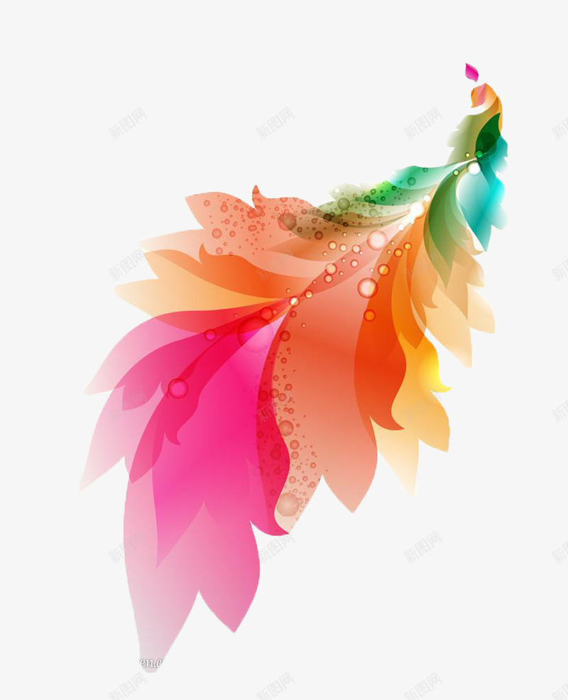彩色凤尾花png免抠素材_新图网 https://ixintu.com 凤尾花 彩色 色彩 装饰图案