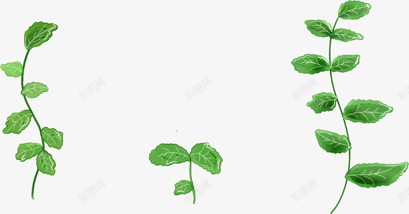 春天绿色藤蔓植物树叶png免抠素材_新图网 https://ixintu.com 春天 树叶 植物 绿色 藤蔓