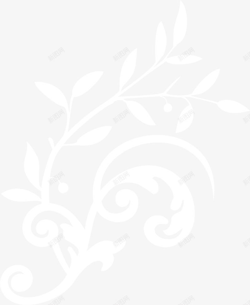 白色简约植物png免抠素材_新图网 https://ixintu.com 树藤 植物 清新 白色 简约 自然 藤蔓 装饰图案