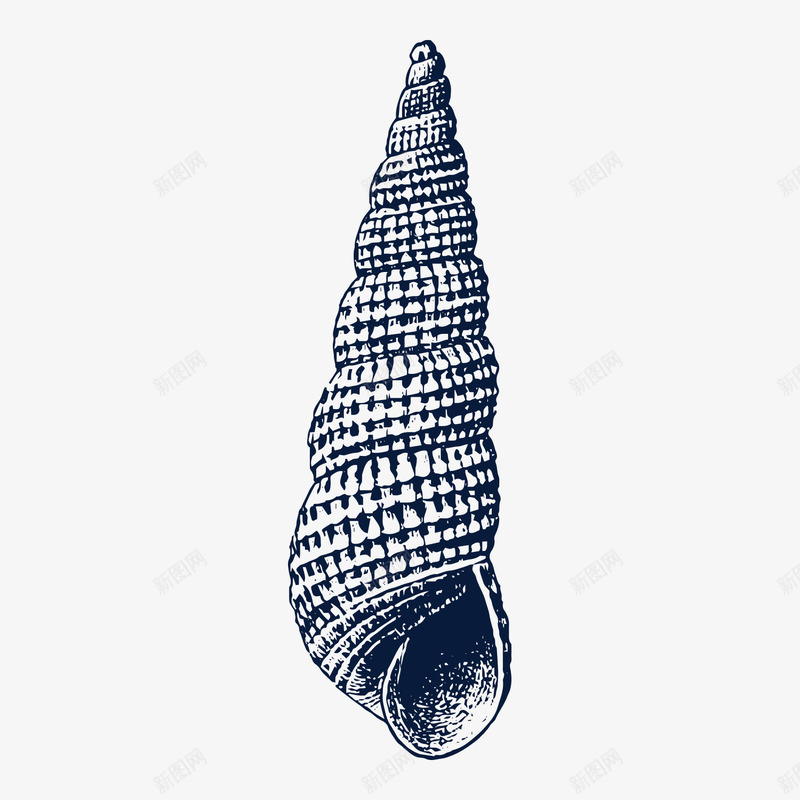 手绘黑色小海螺贝壳图标png_新图网 https://ixintu.com 夏天海边 夏天海边海报 手绘海螺 插画 沙滩 海洋生物 海螺 海螺素描 海螺花纹 海螺装饰 海鲜 生鲜 田螺 贝壳 贝类 软体动物