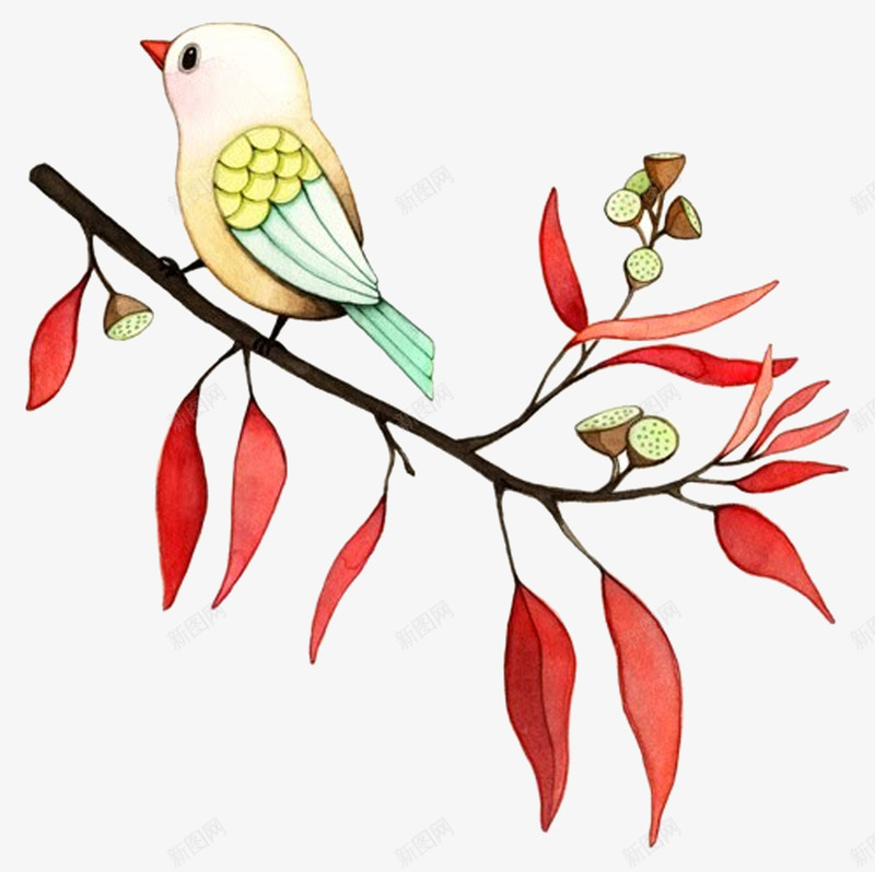 清新的小巧花鸟系列png免抠素材_新图网 https://ixintu.com 动物 可爱 小巧 树枝 清新 漂亮 美丽 花鸟 装饰 鸟类