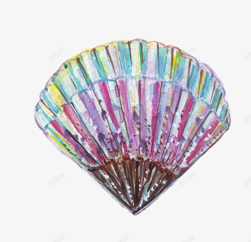 水彩风彩色贝壳海贝png免抠素材_新图网 https://ixintu.com 动物 植物 水彩风 海洋 海草 涂鸦
