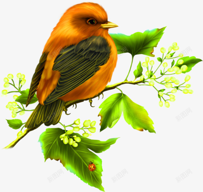 花鸟装饰图案logo社图标png_新图网 https://ixintu.com logo社 免抠PNG 清新 花鸟 装饰图案 黄色