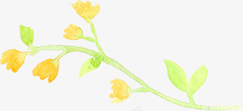 水彩黄绿色花朵藤蔓背景png免抠素材_新图网 https://ixintu.com 水彩 背景 花朵 藤蔓 黄绿色