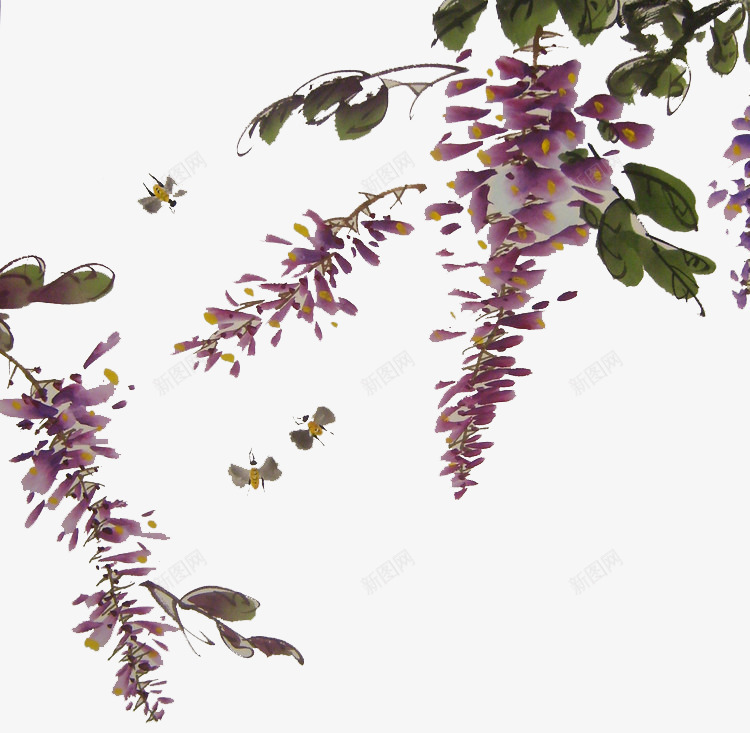 昆虫与紫藤png免抠素材_新图网 https://ixintu.com 手绘紫藤花 昆虫 紫色花朵 紫藤花 绿色 色彩手绘 藤萝
