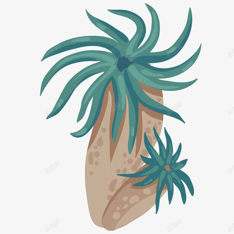 海洋生物卡通插画png免抠素材_新图网 https://ixintu.com 海底世界 海底生物 海洋生物卡通插画 珊瑚 生物 装饰