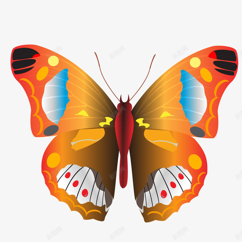 手绘彩色蝴蝶png免抠素材_新图网 https://ixintu.com 动感蝴蝶 卡通蝴蝶 幻彩蝴蝶 彩蝶 手绘蝴蝶 昆虫 标本 红色蝴蝶 色彩斑斓 花纹蝴蝶 花蝴蝶 蝴蝶标本