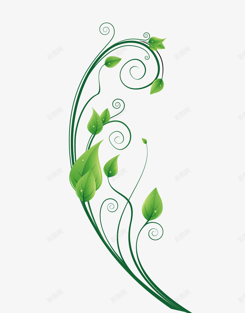 爬藤植物矢量图eps免抠素材_新图网 https://ixintu.com 卡通素材 叶藤植物 植物 植物矢量 爬藤 爬藤植物 矢量植物 花藤植物 矢量图