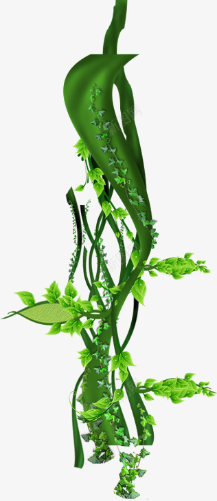 春天绿叶藤蔓植物png免抠素材_新图网 https://ixintu.com 春天 植物 绿叶 藤蔓