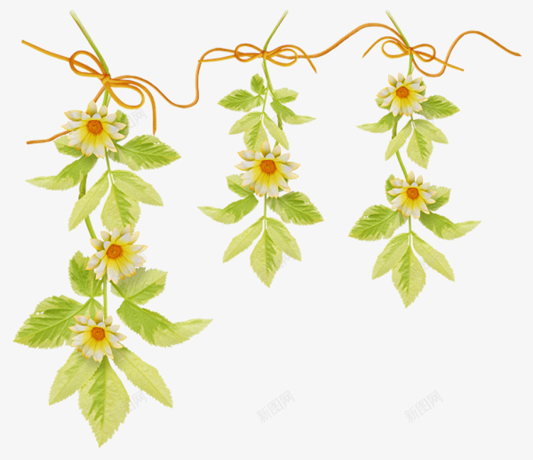 藤蔓和花朵png免抠素材_新图网 https://ixintu.com PNG 免抠 国外 精美 素材 花朵 花纹素材 装饰素材 装饰花纹 边框 边角