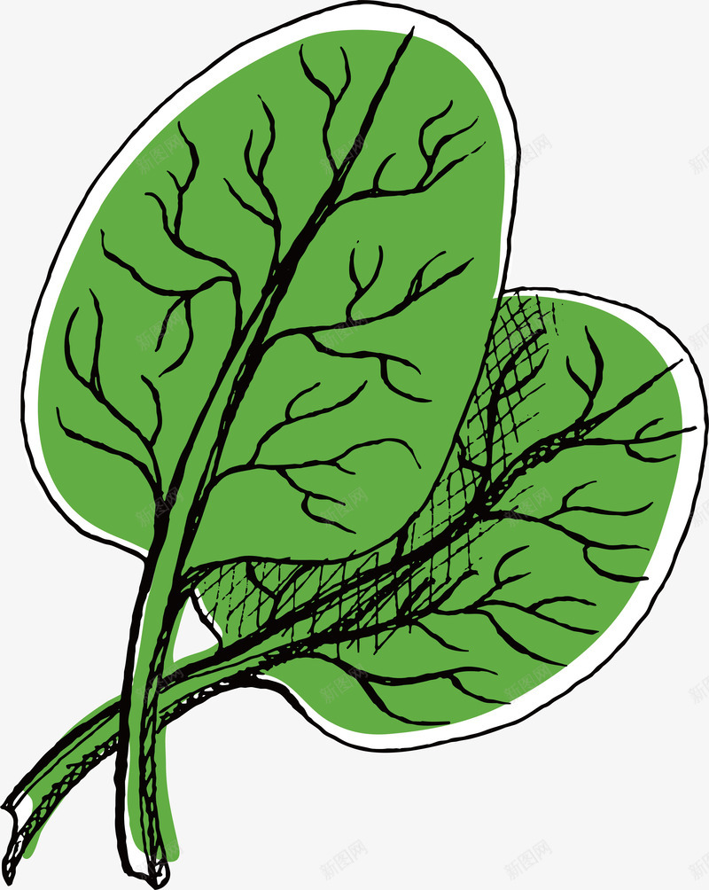 手绘薄荷叶矢量图ai免抠素材_新图网 https://ixintu.com 好吃 好看 新鲜 碧绿 绿色清新手绘 美味 翠绿 色彩鲜艳 矢量图