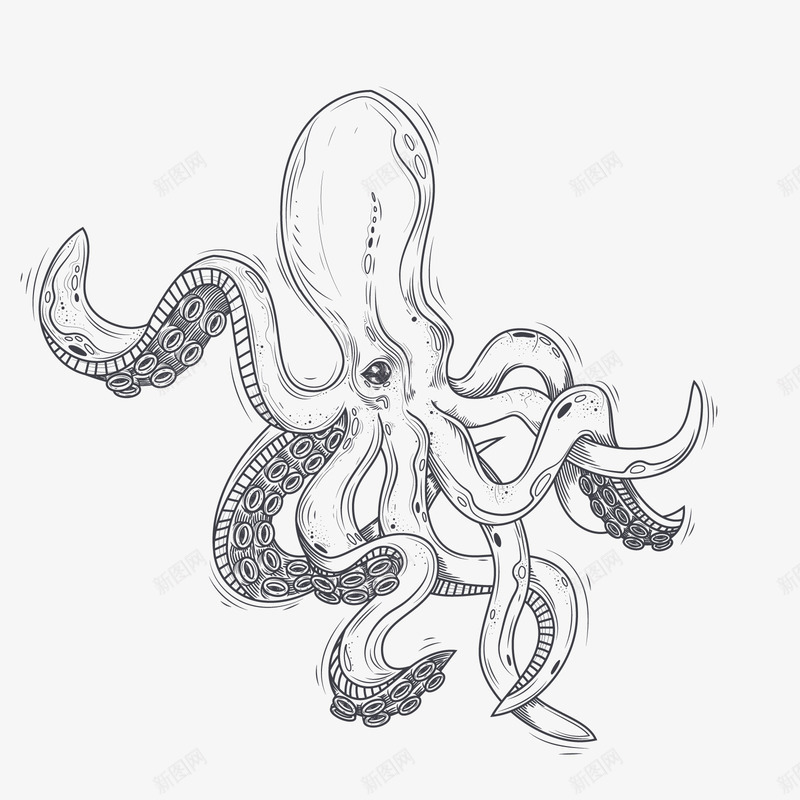 章鱼矢量图eps免抠素材_新图网 https://ixintu.com PNG免抠图下载 乌贼 墨鱼 海洋 生物 装饰 矢量图