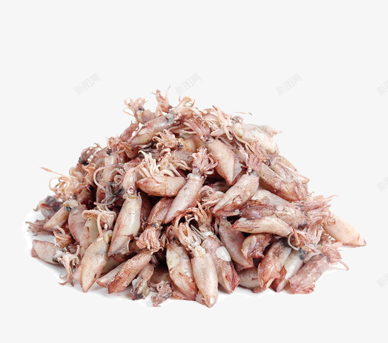 腌制墨鱼仔png免抠素材_新图网 https://ixintu.com 水产 海洋生物 美食 超市