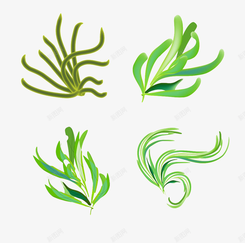 绿色手绘海洋藻类植物png免抠素材_新图网 https://ixintu.com 叶子 手绘 树叶 植物 海洋植物 简笔画树叶 绿色 藻类