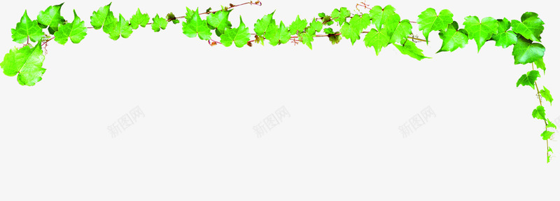 绿色卡通春天花藤png免抠素材_新图网 https://ixintu.com 卡通 春天 绿色 设计