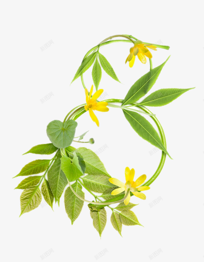 葫芦型花藤png免抠素材_新图网 https://ixintu.com png图片素材 产品实物 免费png元素 免费png素材 创意 艺术 花藤