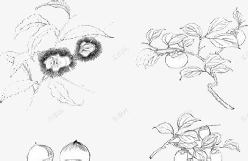 手绘花png免抠素材_新图网 https://ixintu.com 印花 手绘花纹 玫瑰花 矢量花藤 花卉 花朵