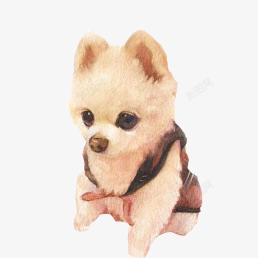 博美犬手绘画片png免抠素材_新图网 https://ixintu.com 卖萌 博美犬 小狗 彩绘宠物