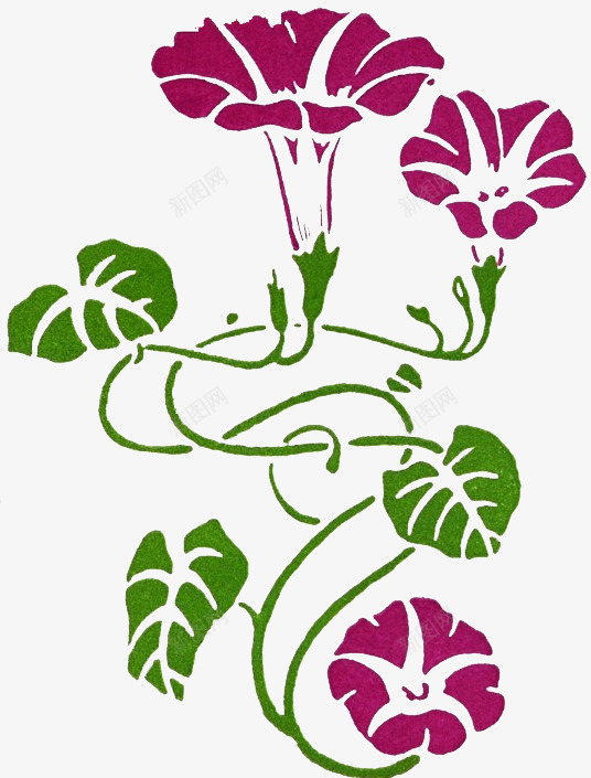 牵牛花花藤png免抠素材_新图网 https://ixintu.com 牵牛花 牵牛花简笔画 花朵 花边