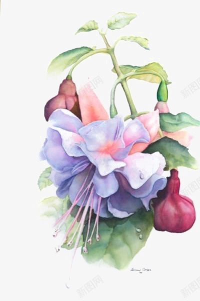 水彩花朵png免抠素材_新图网 https://ixintu.com 植物 水墨花朵 绿色叶片 花朵印花 花朵装饰
