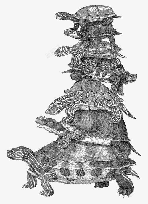 乌龟叠叠堆png免抠素材_新图网 https://ixintu.com 乌龟 动物 海洋 生物