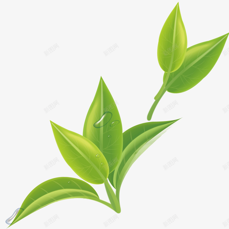艺术装饰花草植物矢量图ai免抠素材_新图网 https://ixintu.com 创意 小草 展示 时尚 矢量图 绘画 草叶 鲜嫩的小草