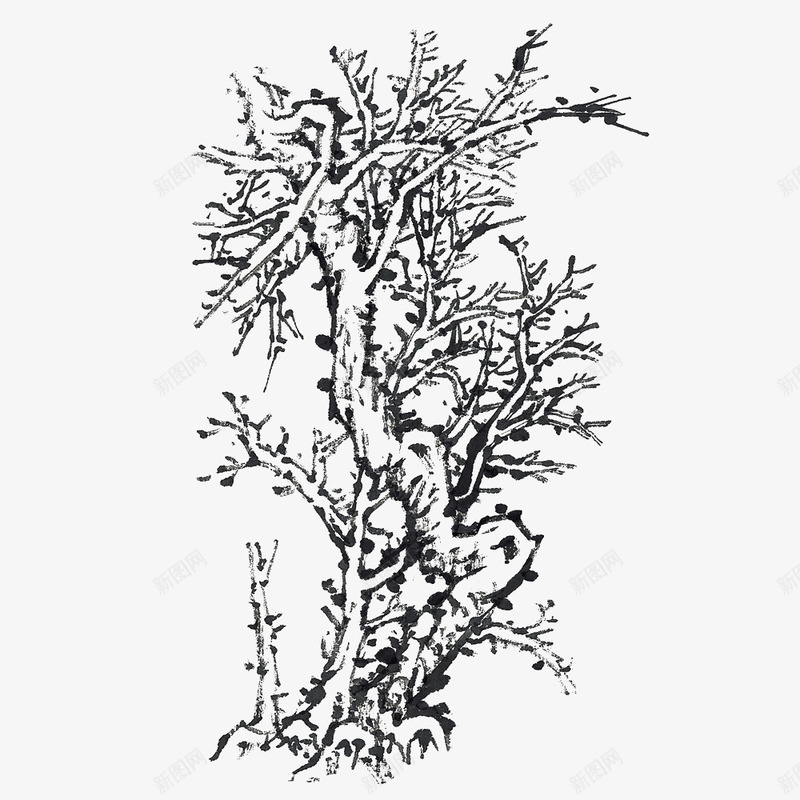 枝叶繁茂的古树手绘png免抠素材_新图网 https://ixintu.com 古老的树木 填色练习 手绘 手绘卡通 手绘古树 枝叶繁茂 素描 黑白手绘图