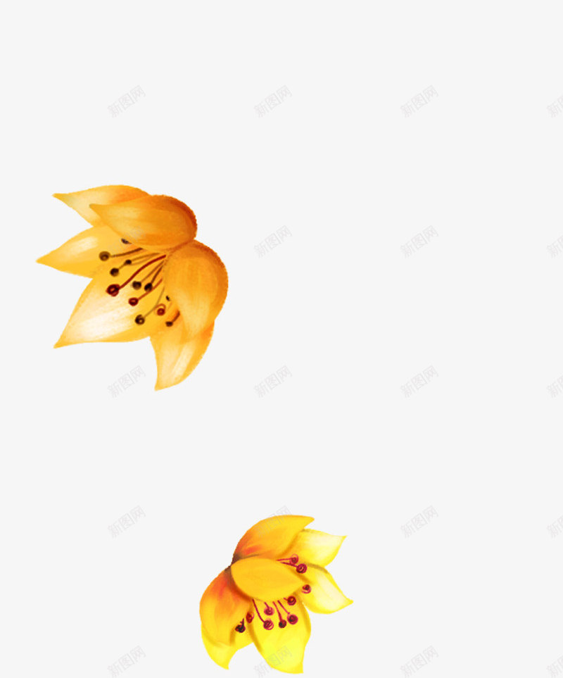 创意手绘扁平橙色的花卉植物png免抠素材_新图网 https://ixintu.com 创意 扁平 植物 橙色 花卉
