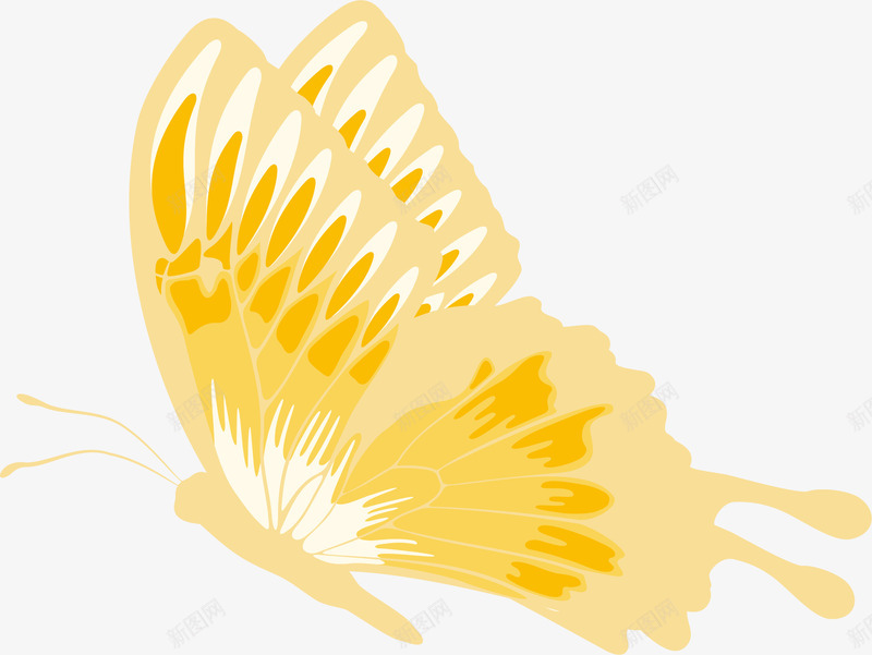 手绘黄色蝴蝶翅膀png免抠素材_新图网 https://ixintu.com 唯美 小清新 手绘蝴蝶 飞翔 黄色翅膀 黄色蝴蝶