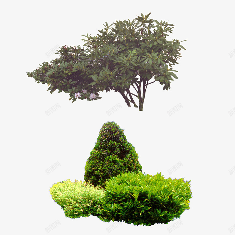 园林花草树木花束花卉psd免抠素材_新图网 https://ixintu.com 建筑绿化装饰绿色植物红花