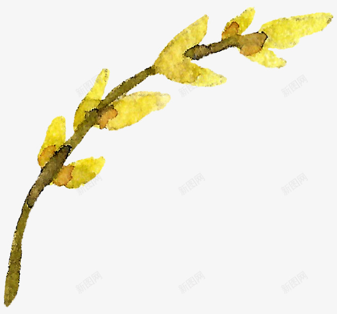 手绘花卉png免抠素材_新图网 https://ixintu.com 底图 手绘花卉 手绘藤条 水彩花卉 漂亮花卉 装饰图案 设计底图