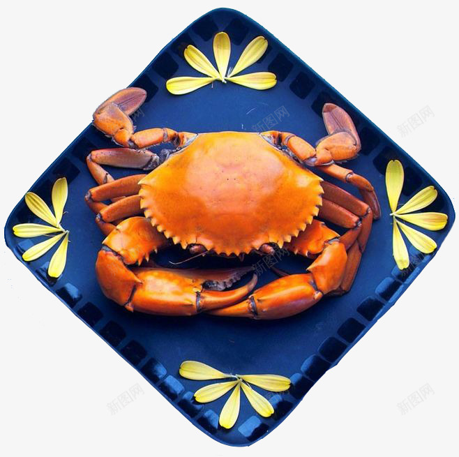 盘子里的蟹png免抠素材_新图网 https://ixintu.com 橙色 素材 青蟹 食物