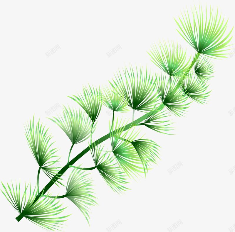 手绘海底水草植物图标png_新图网 https://ixintu.com 图标 彩绘 手绘 手绘植物 手绘海底水草植物 插画 植物